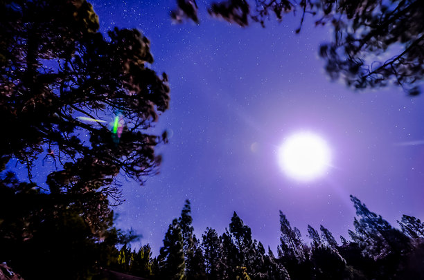 一轮明月在森林上空闪耀。图片下载