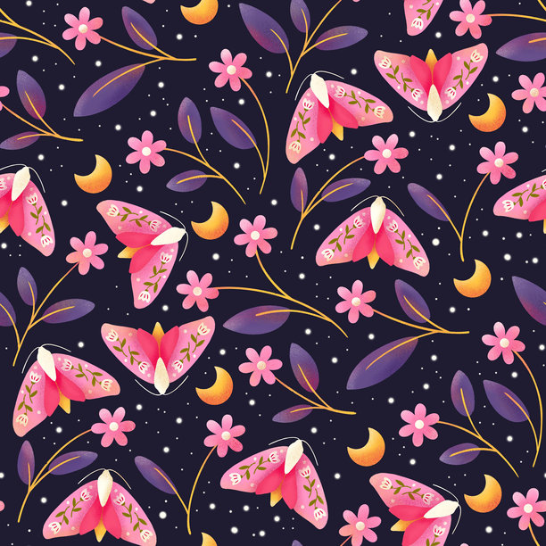 月光下的蛾子与花朵图片下载