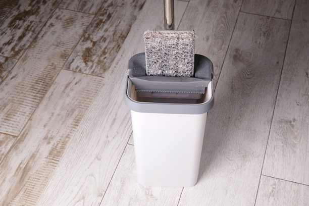 带有拧干系统的拖把桶，用于清洗地板，特写镜头图片下载