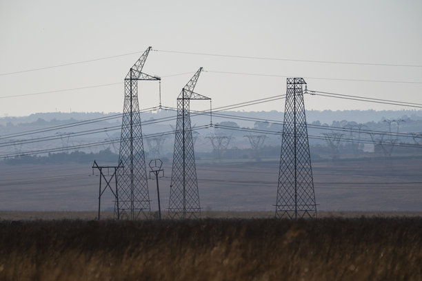 艺术照片展示了高耸的电力塔矗立在自然保护区中，形成了工业结构与自然景观之间的鲜明对比。图片下载