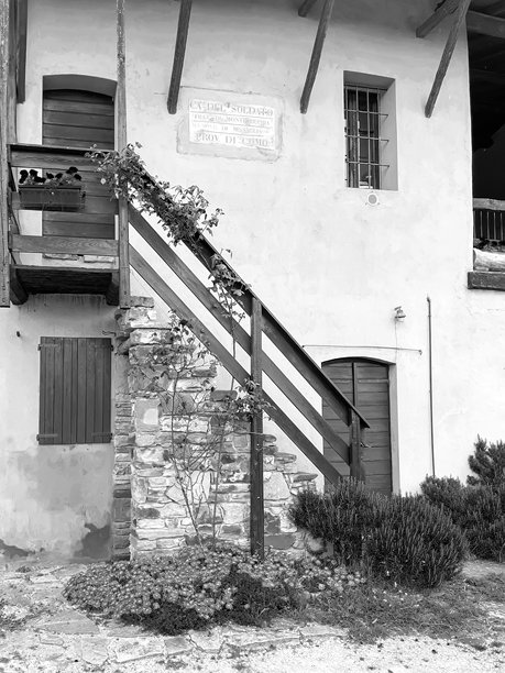 村庄中的老房子黑白照片图片下载