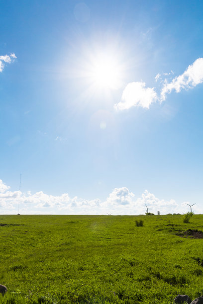草原上风力发电场图片下载