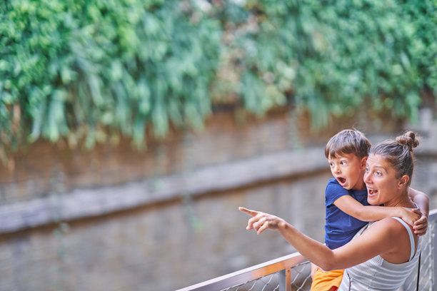 母亲与孩子们在动物园的照片图片下载