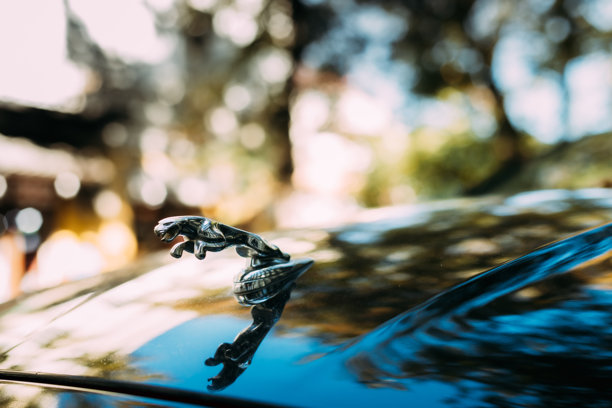 格鲁吉亚第比利斯。捷豹XJL XJ车标的特写。捷豹XJ是一系列由英国汽车制造商捷豹汽车生产的中型至大型豪华车。图片下载