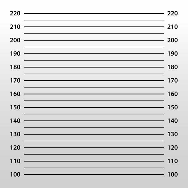 警察拘留照模板 - 排队拘留照背景 - 拍摄的逮捕照片 - 犯罪照片背景 - 矢量插图图片下载