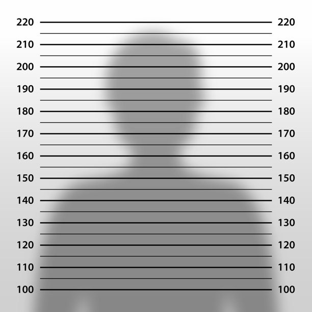 警察拘留照模板 - 排队拘留照背景 - 拍摄的逮捕照片 - 犯罪照片背景 - 矢量插图图片下载