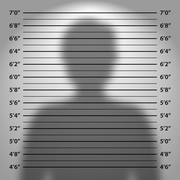 警察拘留照模板 - 排队拘留照背景 - 拍摄的逮捕照片 - 犯罪照片背景 - 矢量插图图片下载