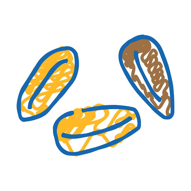 去壳大麦粒图标涂鸦插图图片下载