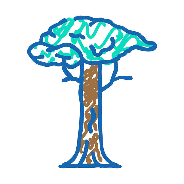 亚马逊丛林的木棉树图标涂鸦插图图片下载