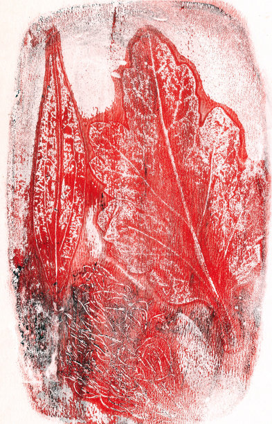 真实叶子的印记在纸上，创意抽象的磨损背景图片下载