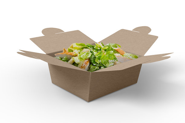 白色背景上的外卖快餐包装盒，模型，3D插图，3D渲染图片下载