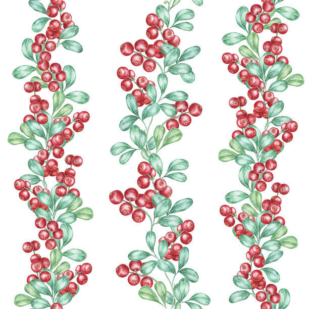 红色的蔓越莓和绿色叶子垂直聚集，装饰着这幅无缝水彩图案的背景。图片下载
