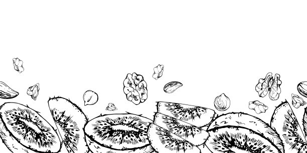 切片猕猴桃和坚果混合，适合饮食、健康生活方式、素食烹饪。手绘矢量墨水插图，白色背景上的无缝边框设计。适用于食谱书、网站、卡片、菜单。图片下载