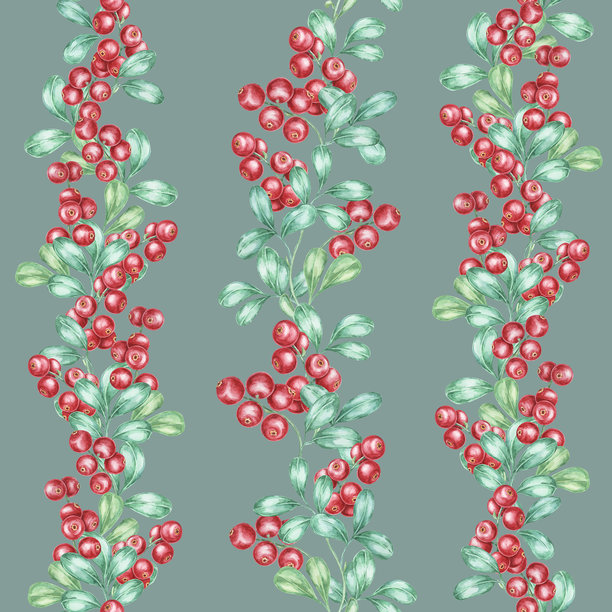 红色的蔓越莓和柔软的绿色叶子在凉爽的青色背景上垂直倾泻。这幅无缝水彩插图非常适合节日商品。图片下载