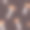 橙色帽子的牛肝菌无缝图案 蘑菇，森林真菌 水彩手绘插图图片下载