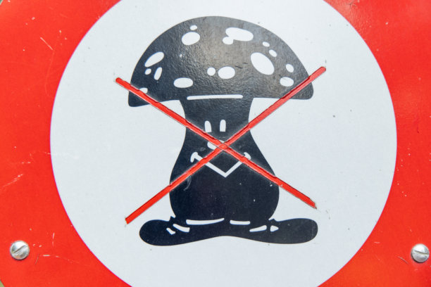 森林中的无蘑菇采集警告标志图片下载