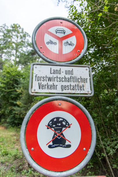 禁止进入和禁止觅食的标志在森林区域图片下载