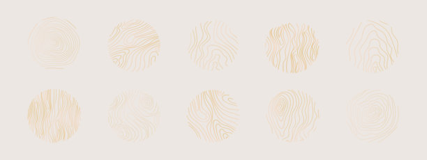 金色细线树轮集合。优雅的金色木材截面纹理圆圈。地形图地理网格轮廓。木桩木材。矢量插图图片下载