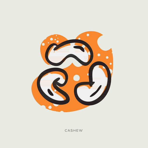 腰果的自由手绘。图片下载