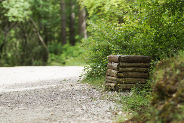 自然环境中的木制垃圾箱图片下载