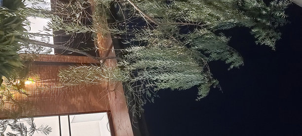 咖啡店图片下载