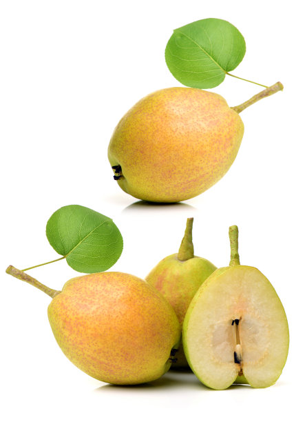 新鲜大蒜图片下载