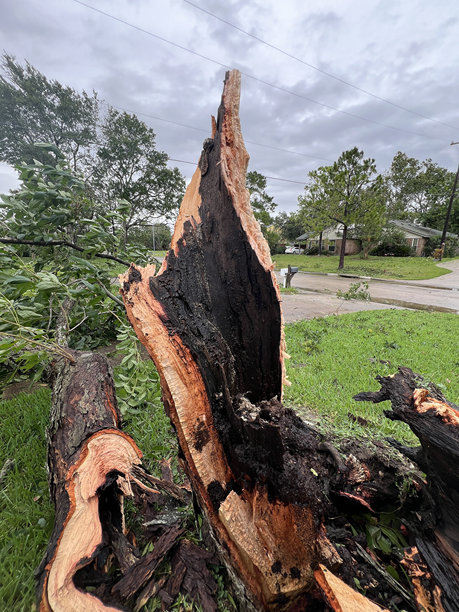 住宅区的风暴损害图片下载