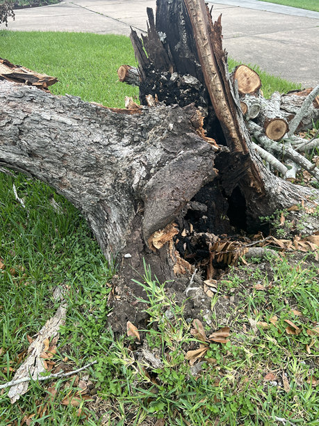 住宅区的风暴损害图片下载