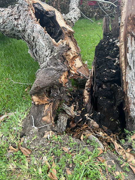 住宅区的风暴损害图片下载