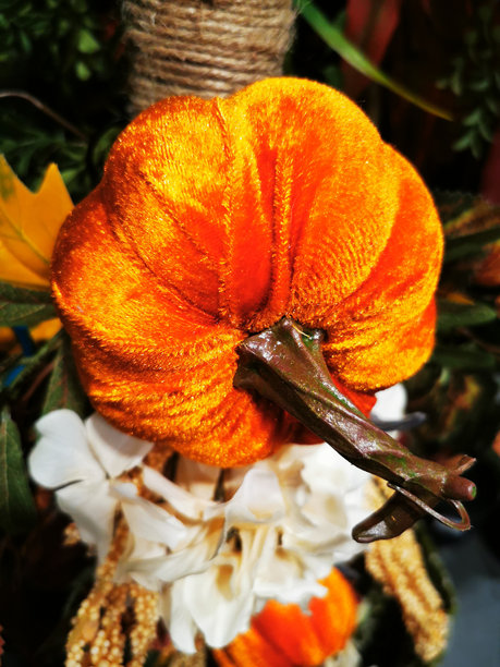 装饰南瓜，万圣节和秋季氛围图片下载