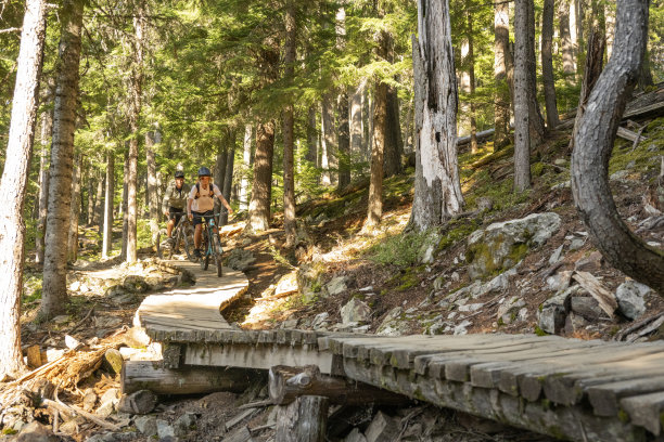 山地自行车骑行者穿越森林中的木栈道图片下载