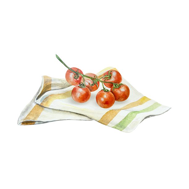 樱桃番茄水彩画。成熟多汁的蔬菜枝条放在餐巾上。插图独立。番茄酱标签、丰收日和素食卡片。图片下载