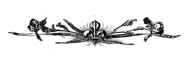 古董图像：书籍装饰品图片下载