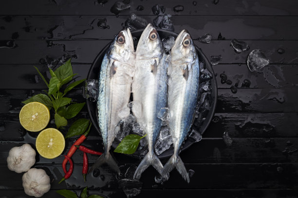 新鲜的鲭鱼，天然海鲜，放在黑色盘子里，底部铺有冰块，背景为黑色木材。俯视图。图片下载