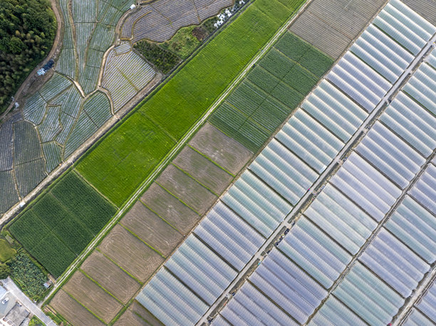 现代农业的航拍照片，温室种植行列图片下载