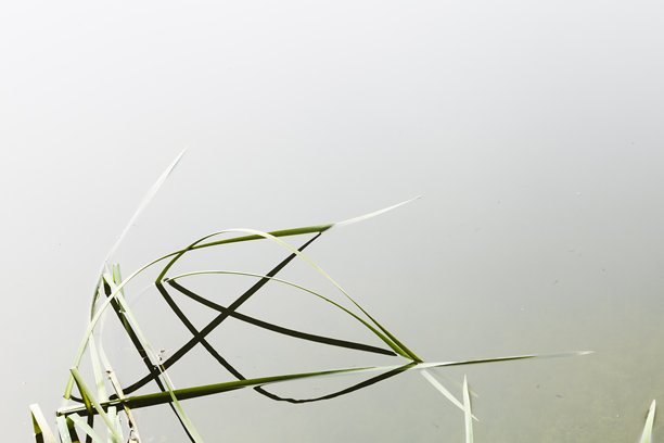 自然图形设计图片下载