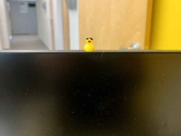 橡皮鸭图片下载