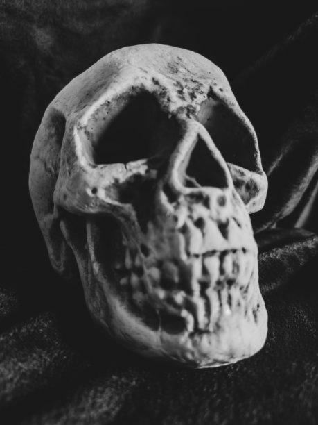 万圣节是一个神秘的季节，充满了骷髅、魔法和秋天的气息。图片下载