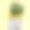 一名女性的头部被切开，露出一棵树从她的头骨中生长出来。图片下载