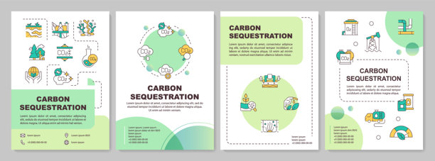 碳封存方法论绿色圆形宣传册模板图片下载