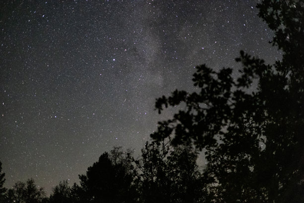 星空下的树木剪影图片下载