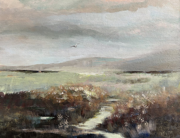 秋季沼泽地图片下载