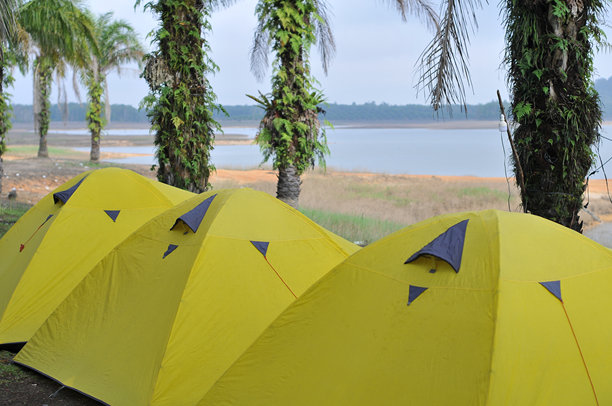 种植园露营，这张照片适合用作海报图片下载