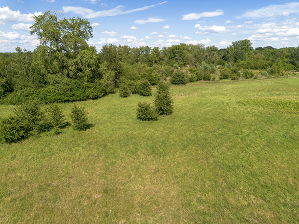 俯瞰油菜花田与孤独的树木。图片下载