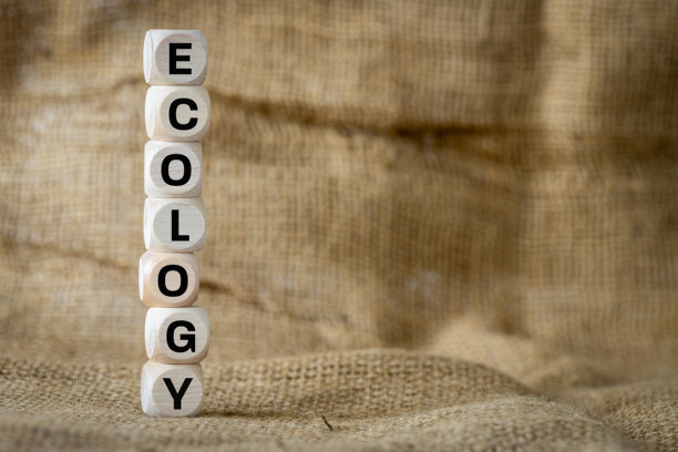 生态词汇在自然黄麻袋上垂直排列的木块上，环保概念，留白空间图片下载