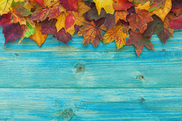 秋天的背景，五彩斑斓的树叶铺在木质背景上图片下载