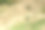 蜿蜒的乡村小路穿过草地。阳光明媚的秋季乡村风景。航拍照片。图片下载