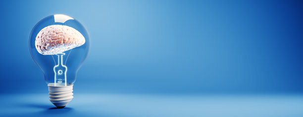 蓝色背景灯泡内的脑部，创新与智慧概念3D渲染图片下载