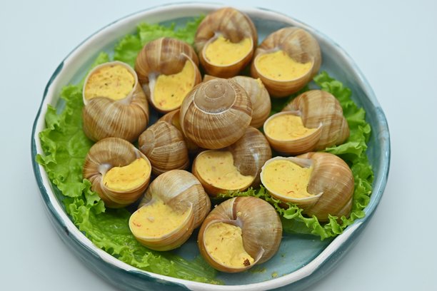 蓝色盘子中的奶酪酱蜗牛照片，蜗牛配上前奶酪酱和帕尔马干酪，白色背景下的菜单照片。图片下载