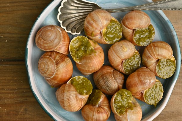 宏观蜗牛与香蒜酱的照片，上面是蜗牛配罗勒香蒜酱、帕尔马干酪和松子。图片下载